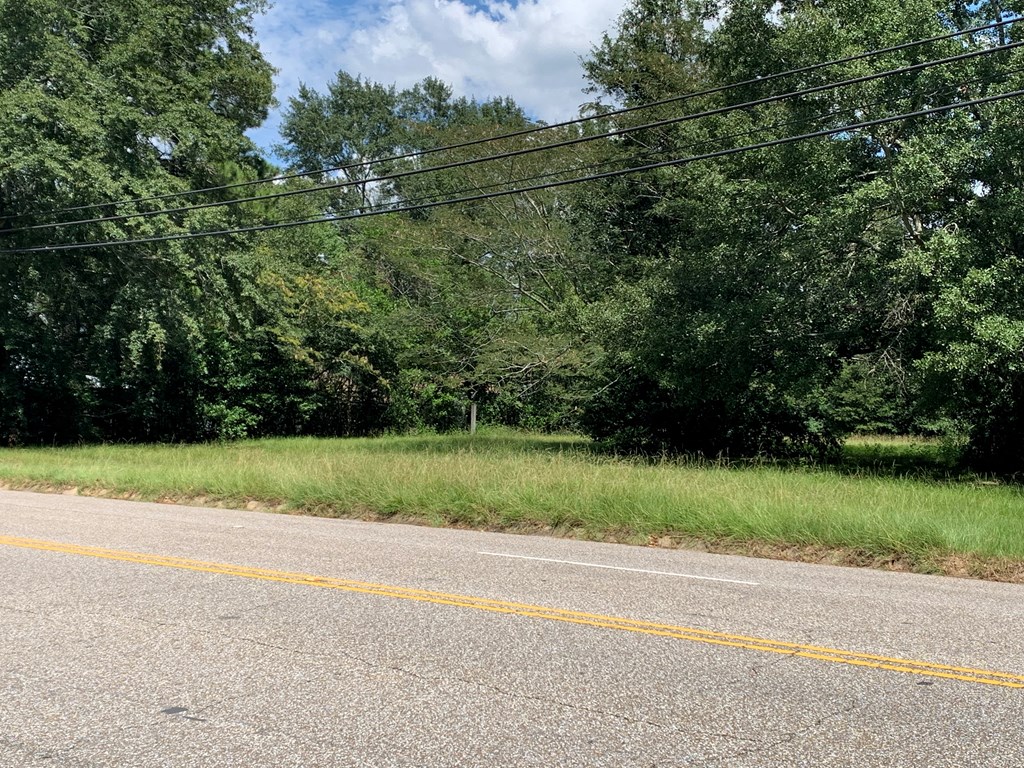 0 Denton Road Dothan, AL 36303 - Photo 3 of 4