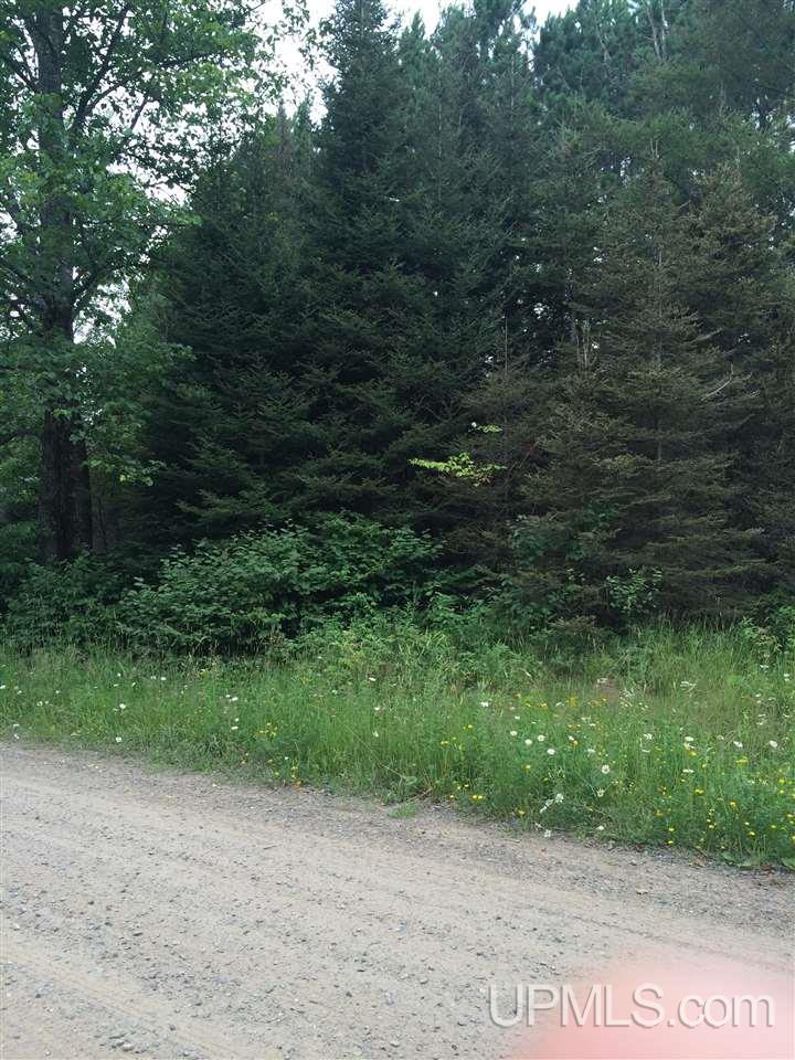 Tbd Angeli Road, Unit 18 Iron River, MI 49935 - Photo 3 of 7