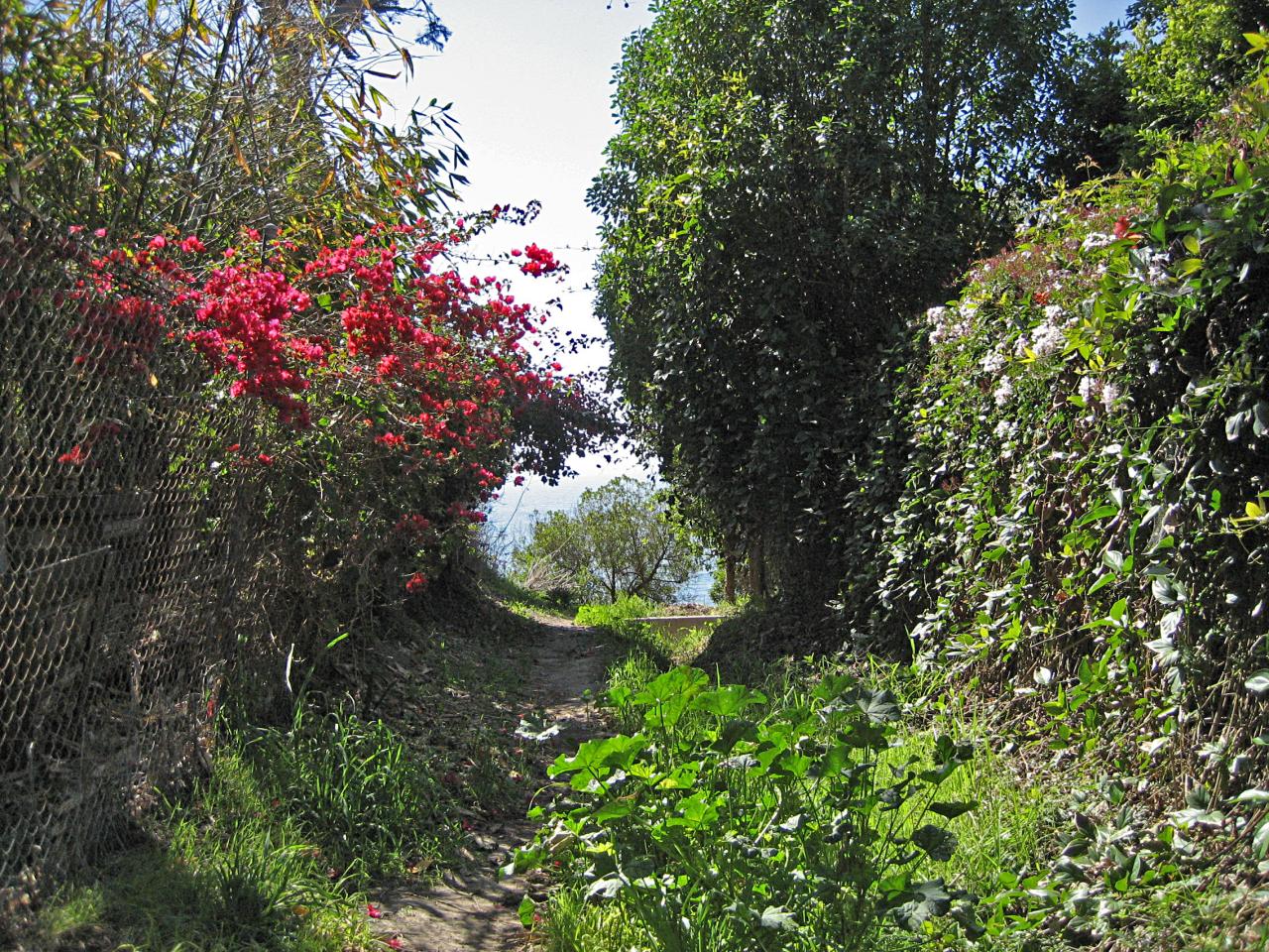 5320 Dorwin Lane Santa Barbara, CA 93111 - Photo 14 of 19