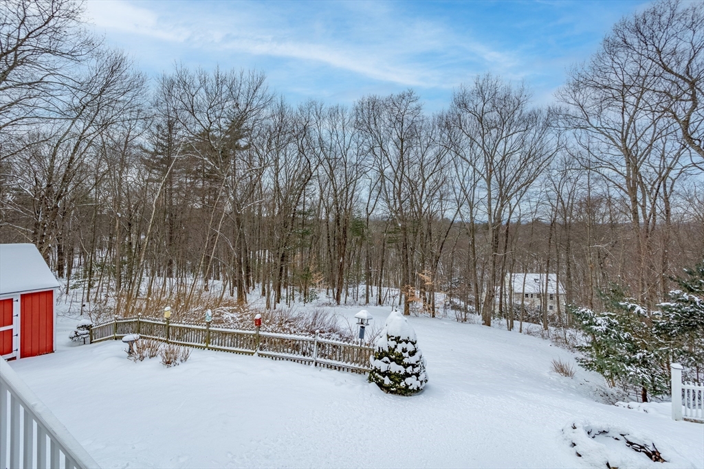 84 Vaughn Hill Road Bolton, MA 01740 - Photo 31 of 40 a view of a backyard with a bench and some trees