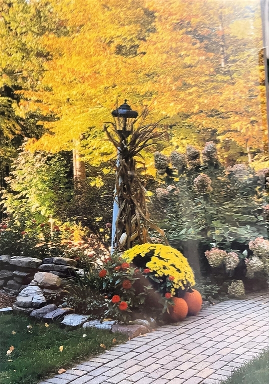 84 Vaughn Hill Road Bolton, MA 01740 - Photo 36 of 40 a view of swimming pool from a yard