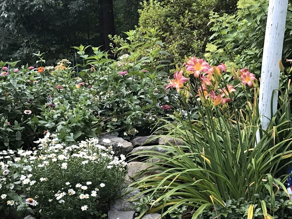 84 Vaughn Hill Road Bolton, MA 01740 - Photo 37 of 40 a backyard of a house