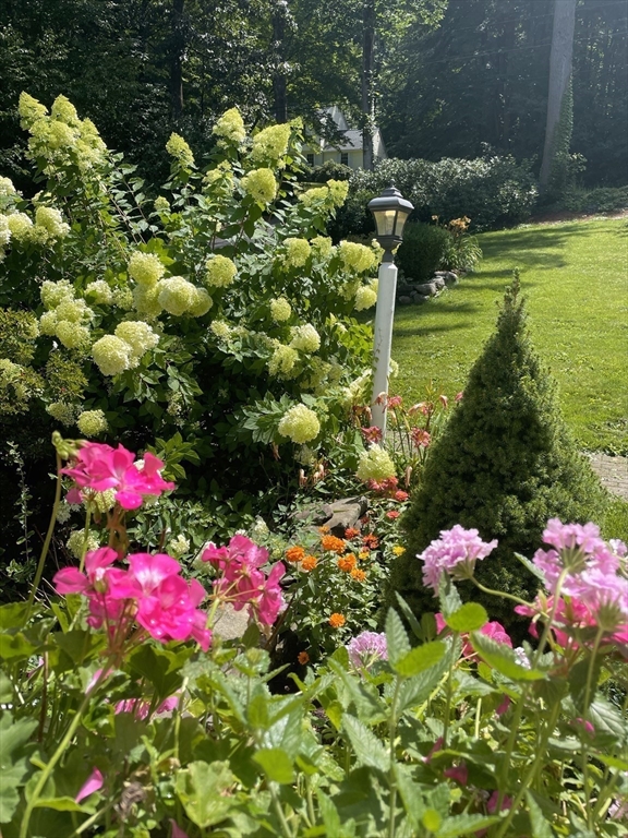 84 Vaughn Hill Road Bolton, MA 01740 - Photo 39 of 40 a view of a flower in a garden