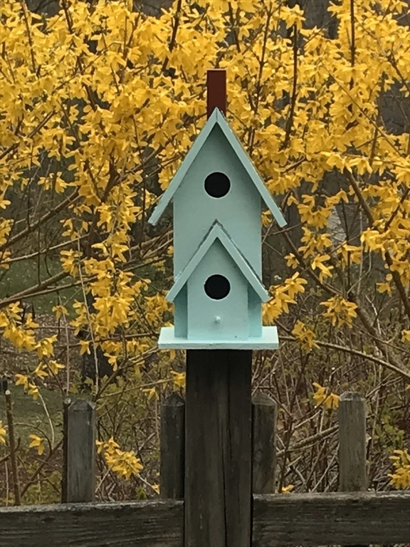 84 Vaughn Hill Road Bolton, MA 01740 - Photo 40 of 40 a bathroom with a sink and mirror