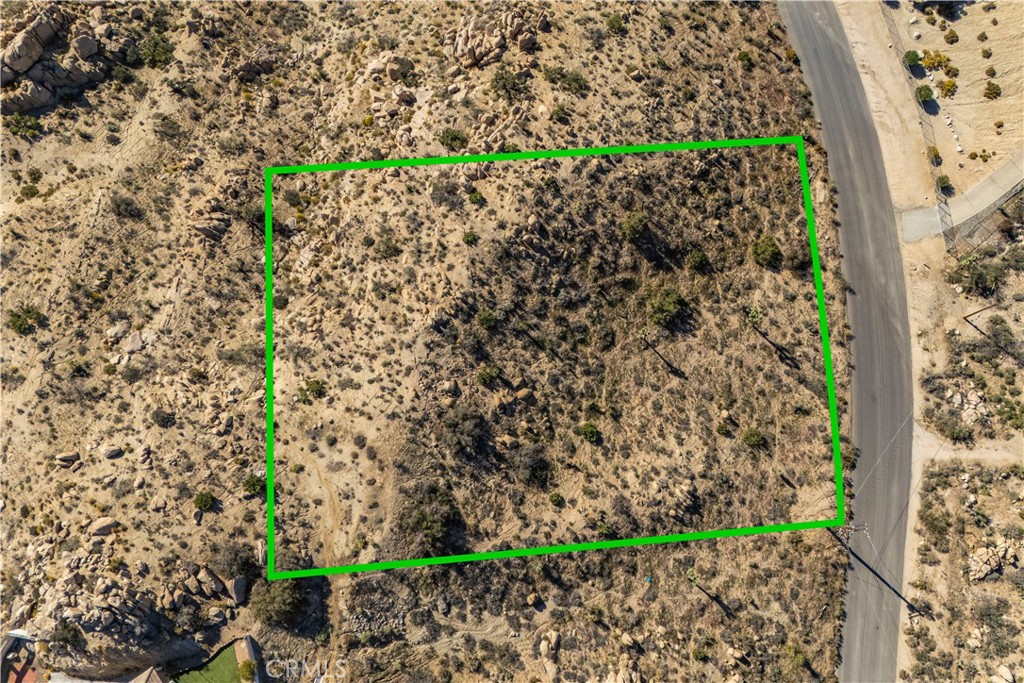 0 San Juan Road Yucca Valley, CA 92284 - Photo 8 of 24 a view of a garden with a plant