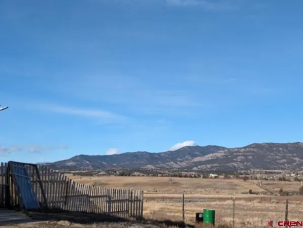 a view of a dry yard