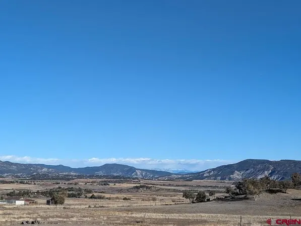 a view of a field