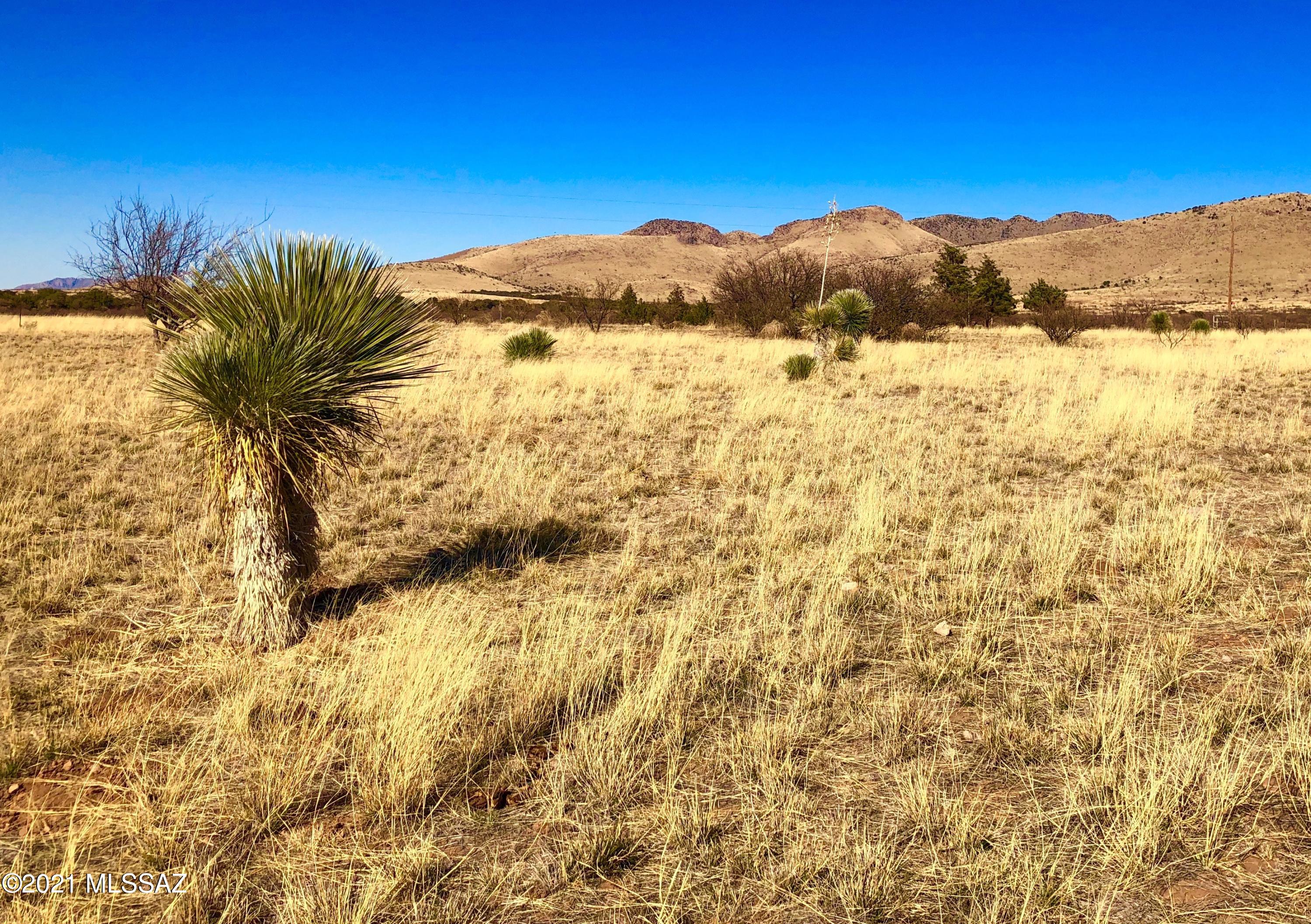 40.16 Ac Pearce, AZ 85625 - Photo 18 of 50