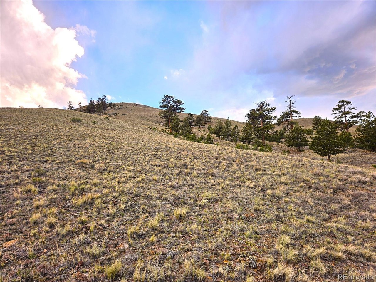25427 Yuma Road Hartsel, CO 80449 - Photo 14 of 31