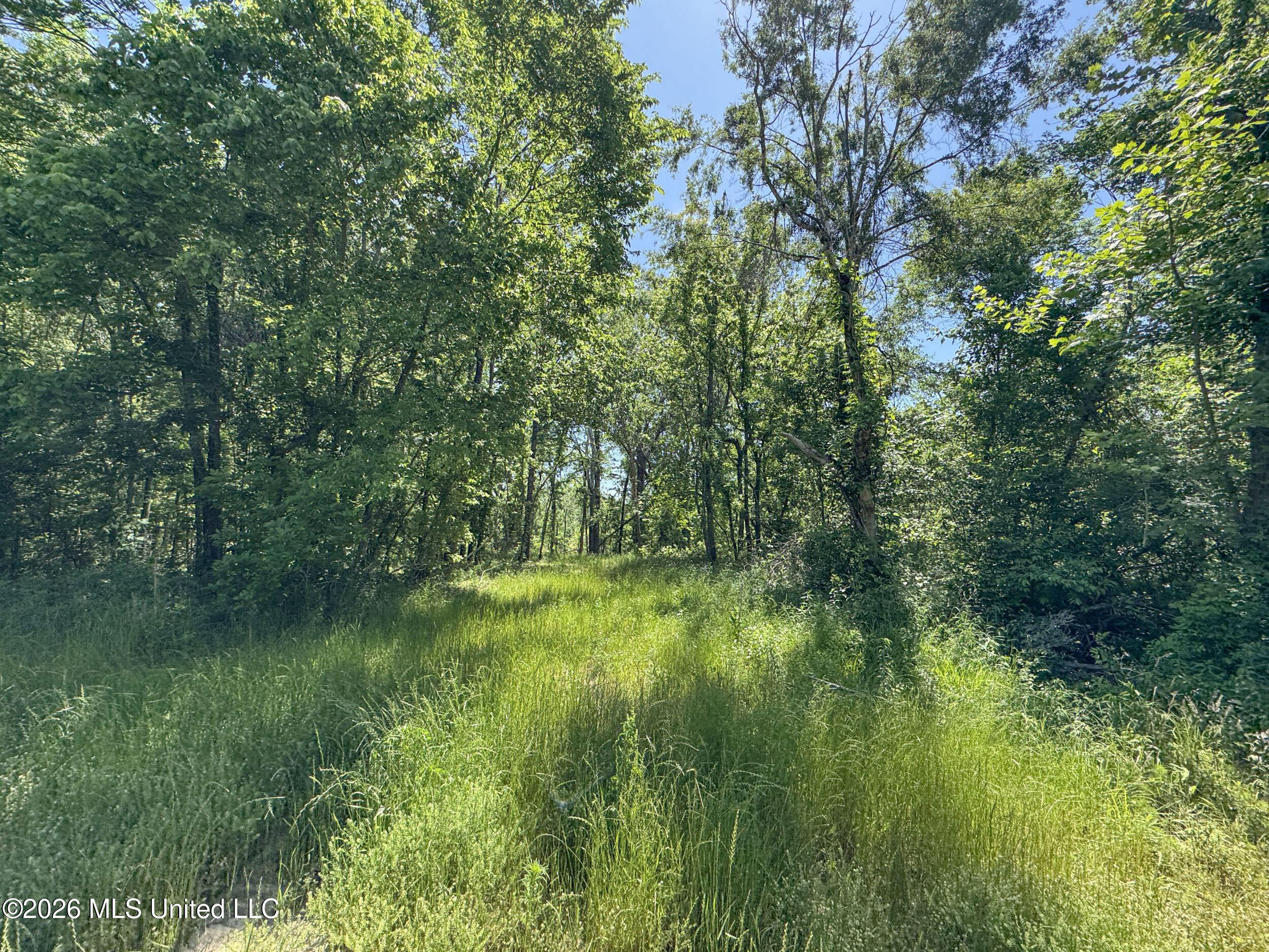 Chinqupin Road Lexington, MS 39095 - Photo 151 of 210 8chqpn4