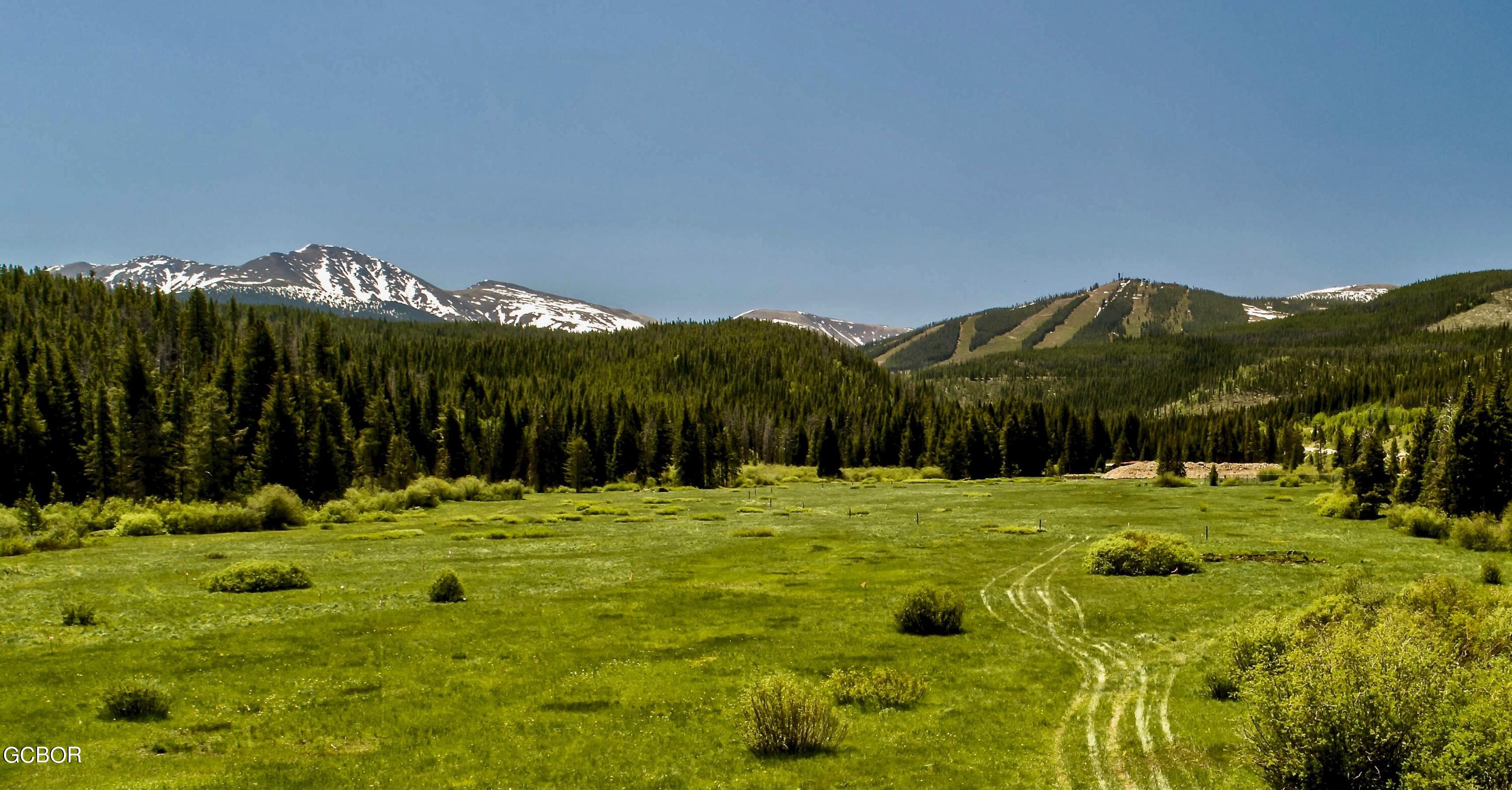 Undisclosed Address Winter Park, CO 80482 - Photo 44 of 52 a view of a playground with a garden