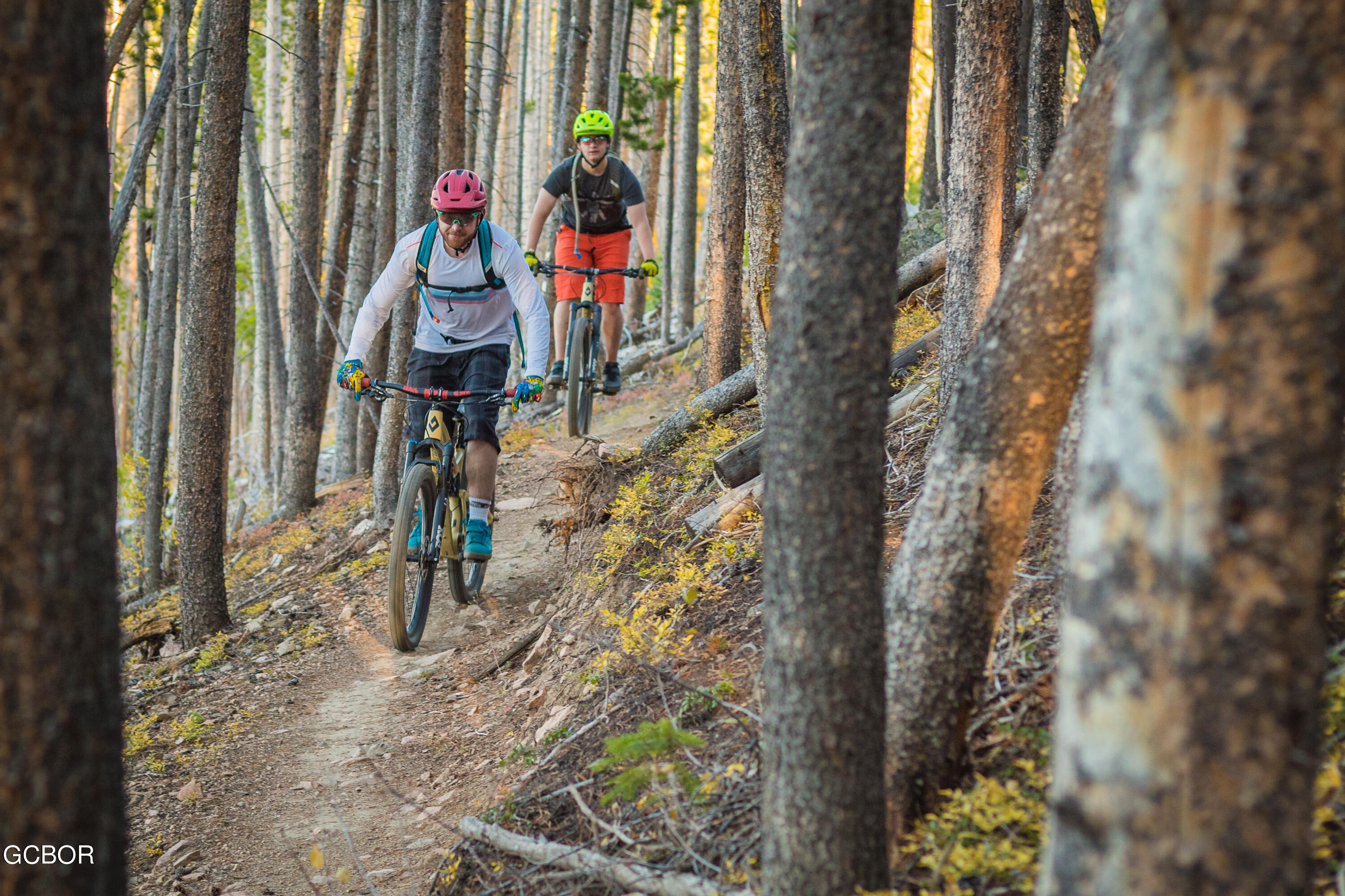 Undisclosed Address Winter Park, CO 80482 - Photo 52 of 52 a view of water heater room