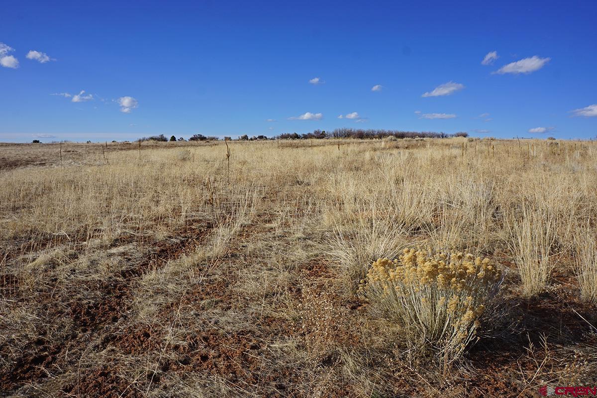 19305 Road 26.2 Loop Dolores, CO 81323 - Photo 15 of 23 a view of an ocean and a yard