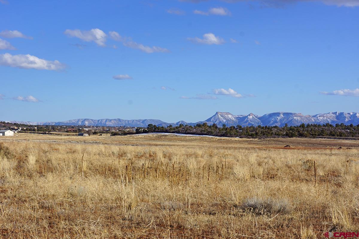 19305 Road 26.2 Loop Dolores, CO 81323 - Photo 17 of 23 a view of an lake and a mountain