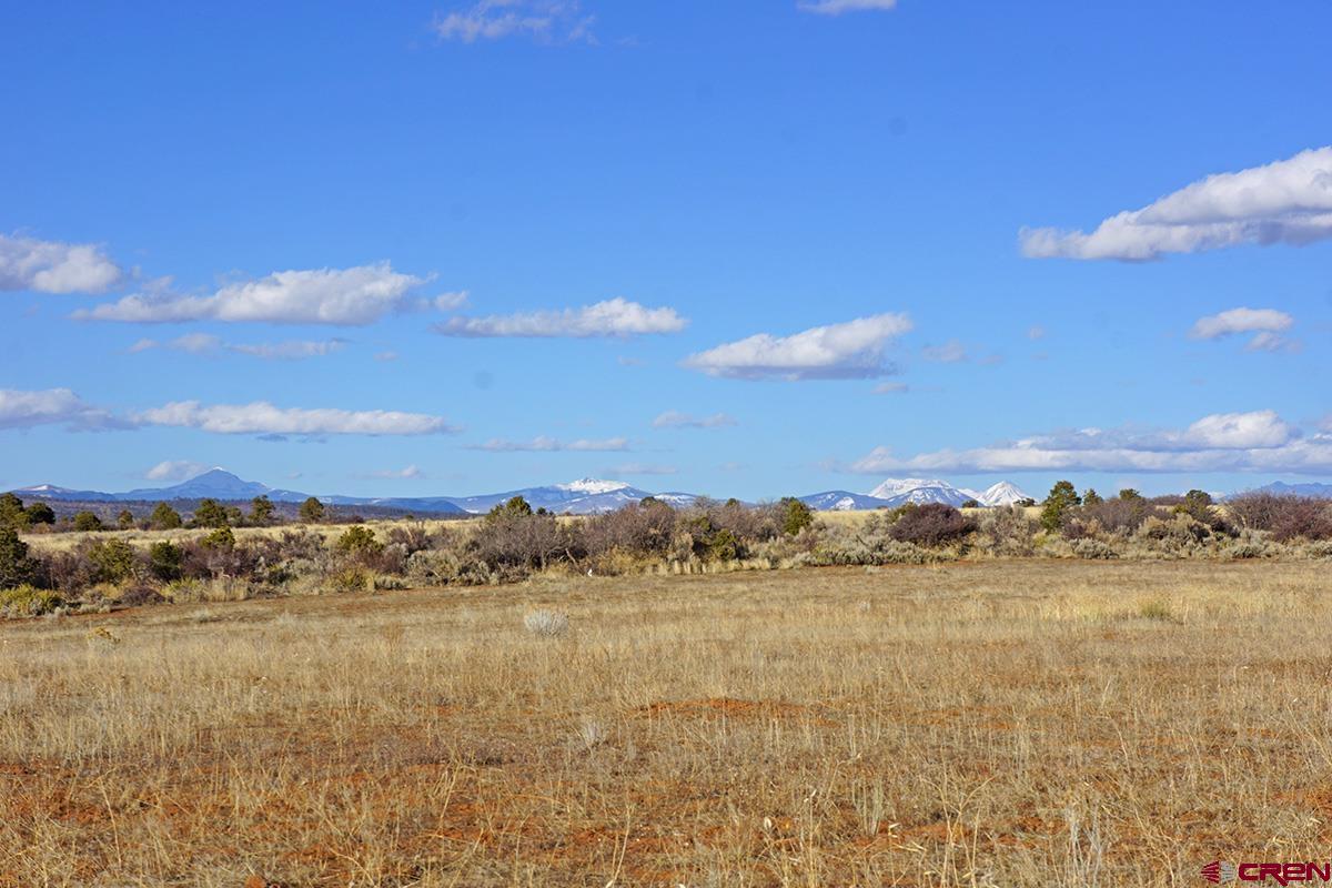 19305 Road 26.2 Loop Dolores, CO 81323 - Photo 19 of 23 a view of lake and mountain
