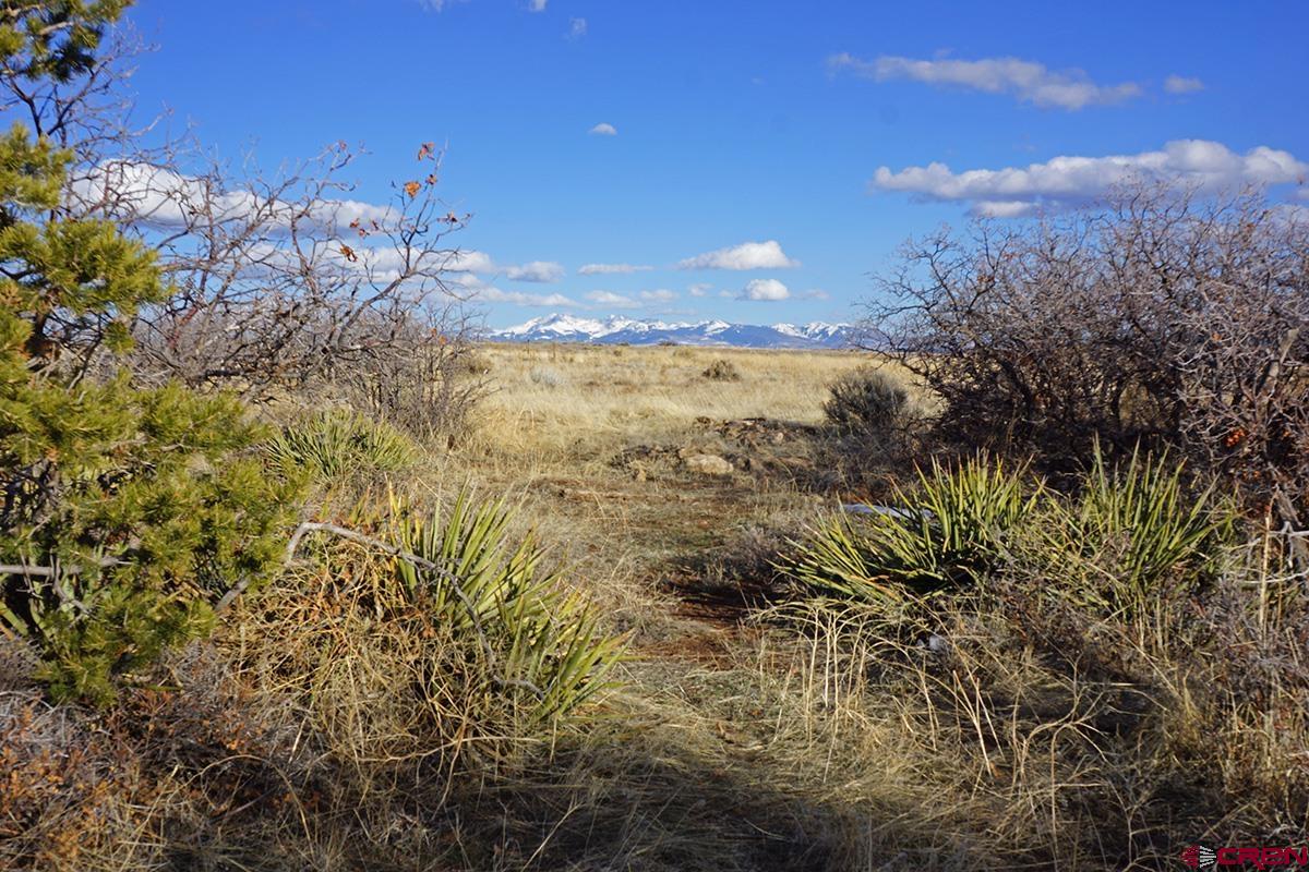 19305 Road 26.2 Loop Dolores, CO 81323 - Photo 4 of 23 a view of a yard with a tree