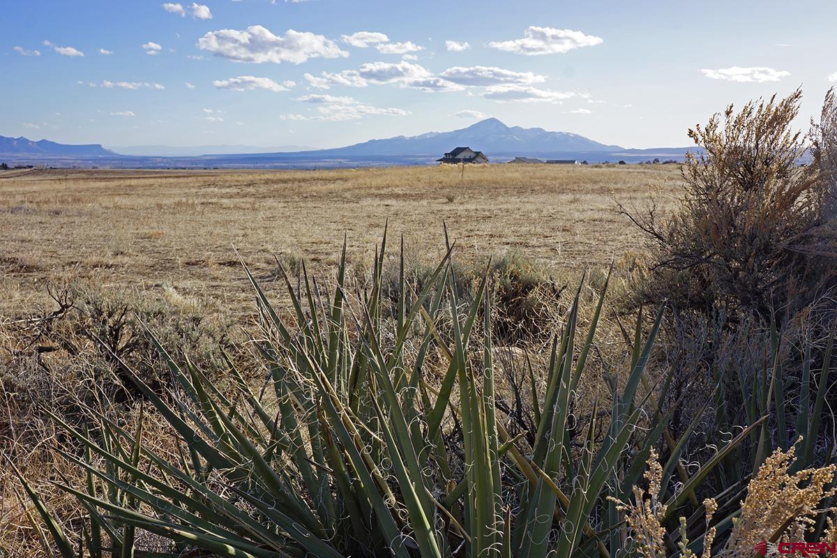 19305 Road 26.2 Loop Dolores, CO 81323 - Photo 7 of 23 a view of an ocean and a mountain