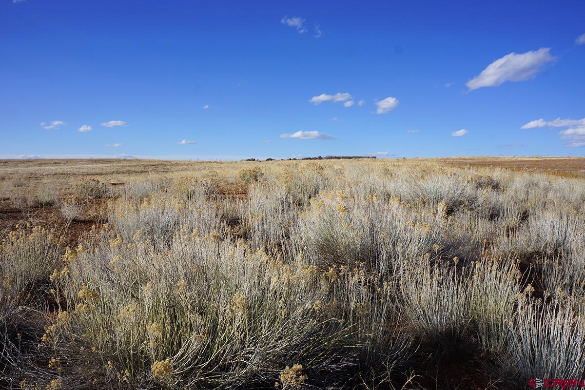 19305 Road 26.2 Loop Dolores, CO 81323 - Photo 9 of 23 a view of beach and a yard