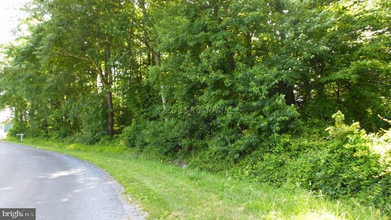Lot #4 Murray Road Whaleyville, MD 21872 - Photo 1 of 2