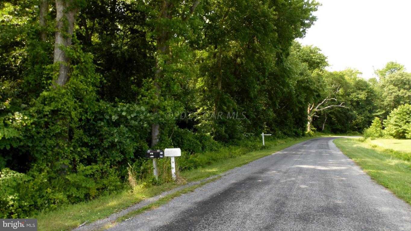 Lot #4 Murray Road Whaleyville, MD 21872 - Photo 2 of 2