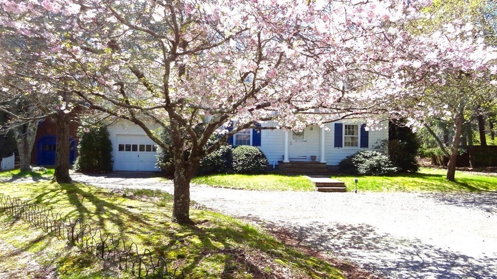 3 Tanglewood Road Walpole, MA 02032 - Photo 1 of 26