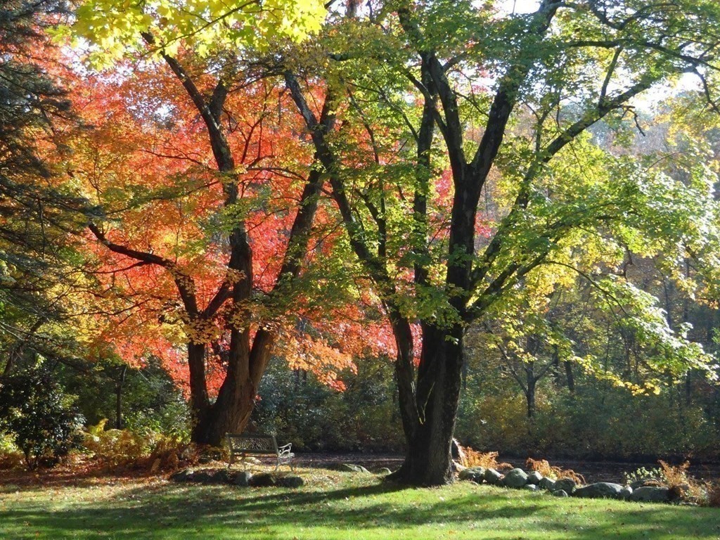 3 Tanglewood Road Walpole, MA 02032 - Photo 17 of 26