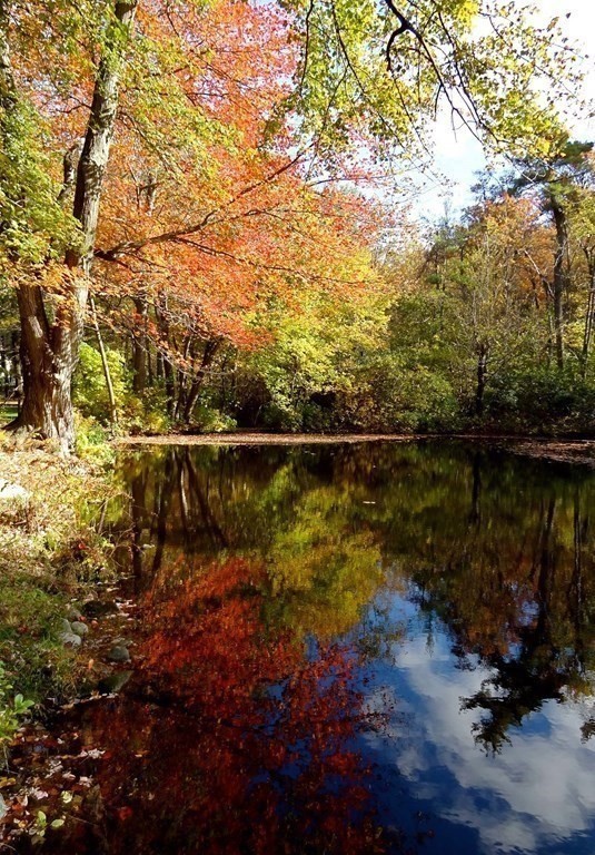 3 Tanglewood Road Walpole, MA 02032 - Photo 18 of 26