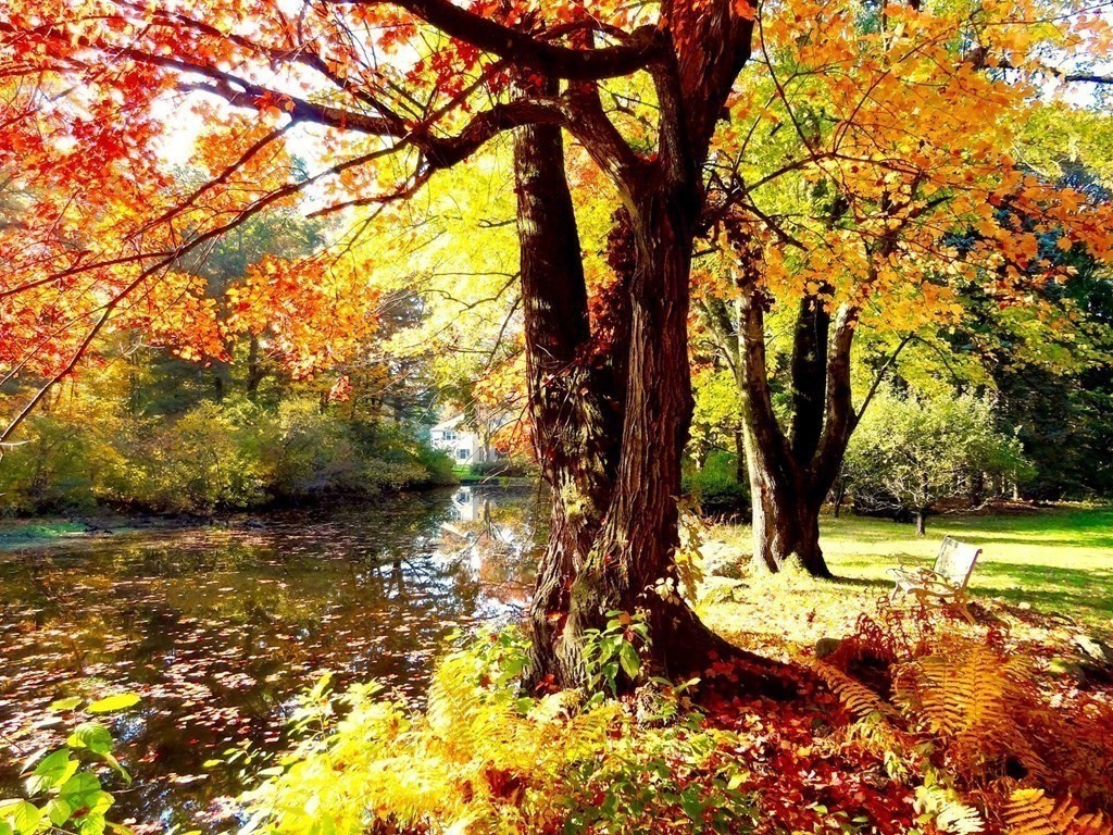 3 Tanglewood Road Walpole, MA 02032 - Photo 19 of 26