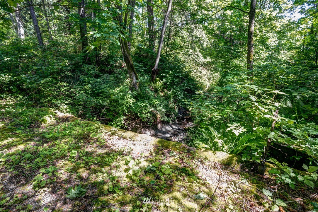 6319 Malloy Road Ferndale, WA 98248 - Photo 6 of 25