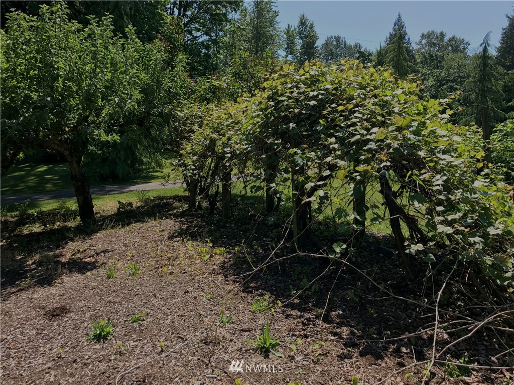 6319 Malloy Road Ferndale, WA 98248 - Photo 9 of 25