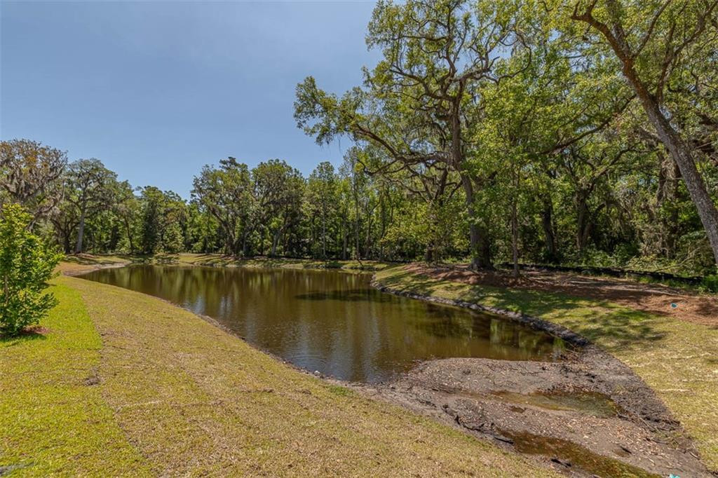 117 Canopy Court, Unit 3 St. Simons Island, GA 31522 - Photo 25 of 41