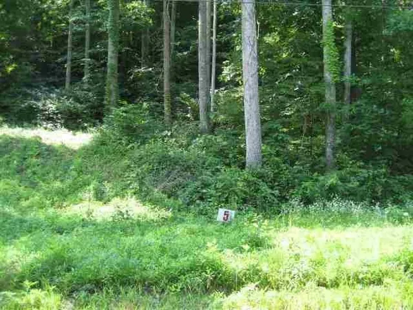 $20,000 | Lot #5 Short White Oak, Greenup, KY 41144