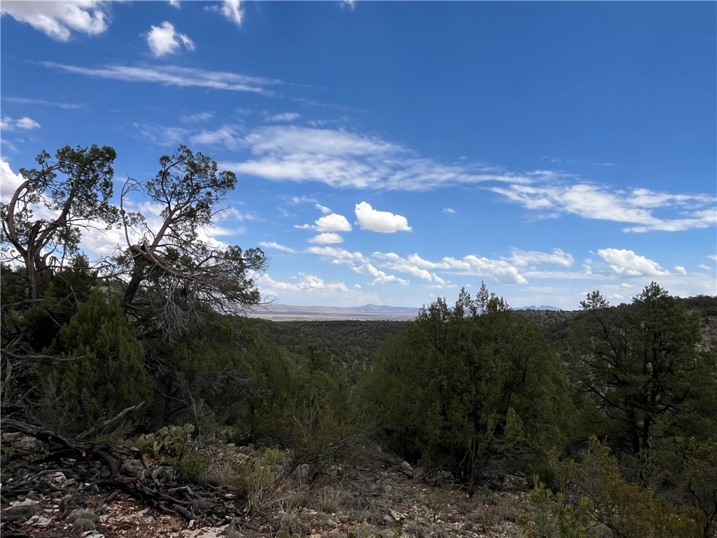 46675 North Edge Ridge Road Seligman, AZ 86337 - Photo 27 of 28