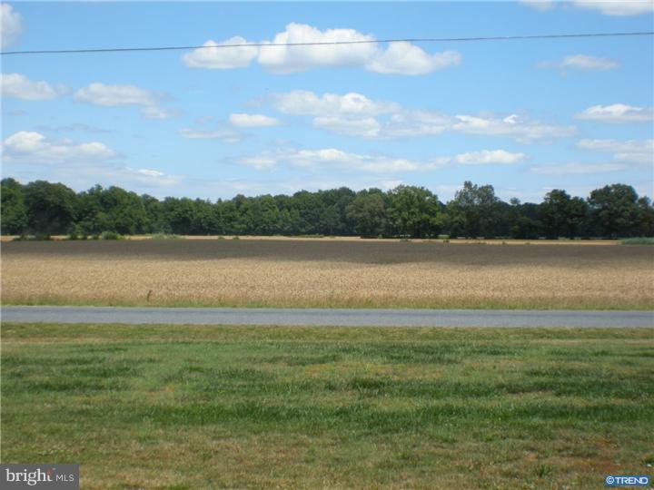715 Amsterdam Road Felton, DE 19943 - Photo 20 of 25 Gallery Image 20