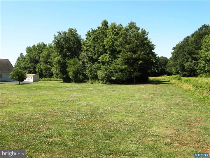 715 Amsterdam Road Felton, DE 19943 - Photo 23 of 25 Gallery Image 23
