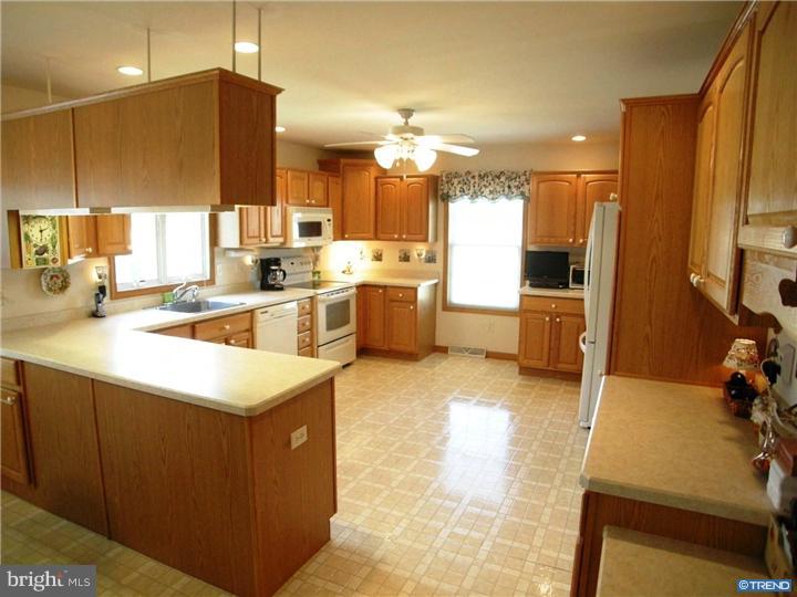 715 Amsterdam Road Felton, DE 19943 - Photo 8 of 25 Gallery Image 8
