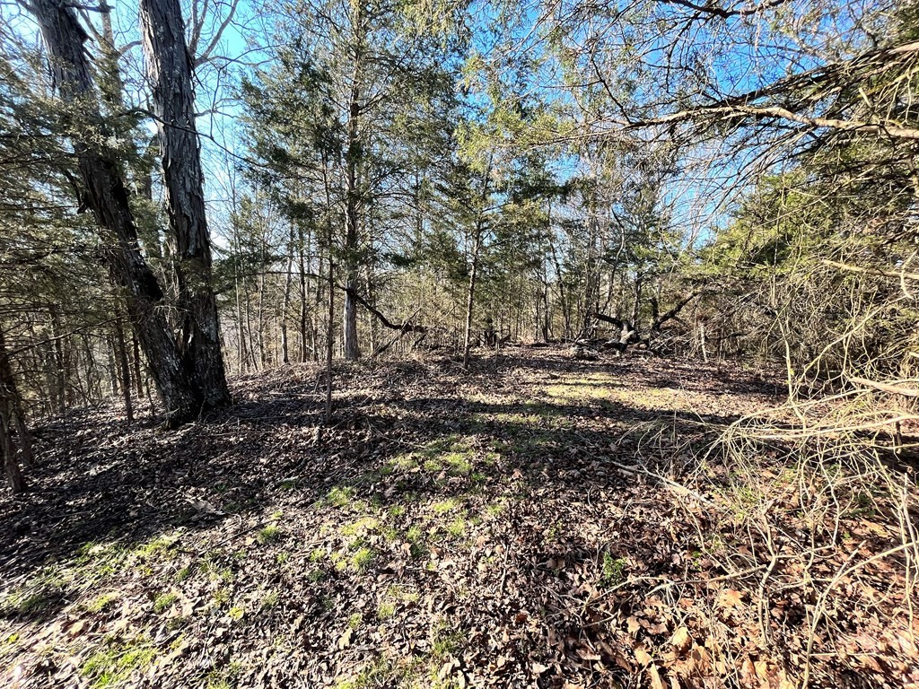 0 Ruth Lane Sevierville, TN 37862 - Photo 2 of 11
