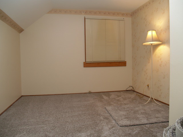 457 Rockhurst Road Bolingbrook, IL 60440 - Photo 13 of 24 an empty room with a window
