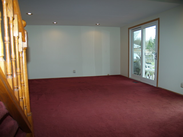 457 Rockhurst Road Bolingbrook, IL 60440 - Photo 6 of 24 an empty room with windows