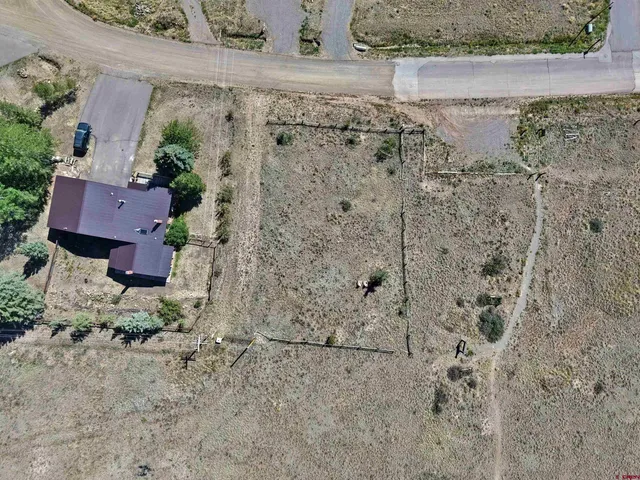a view of a fireplace with a plant