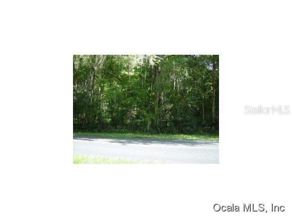 0 Southeast 110th Street Road Belleview, FL 34420 - Photo 1 of 1 Primary Photo