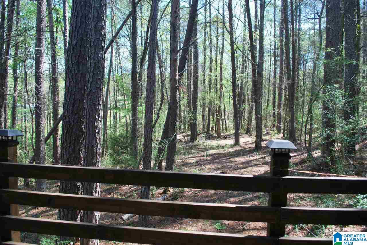 6603 Goodwin Road Pinson, AL 35126 - Photo 36 of 38 Gallery Image 36