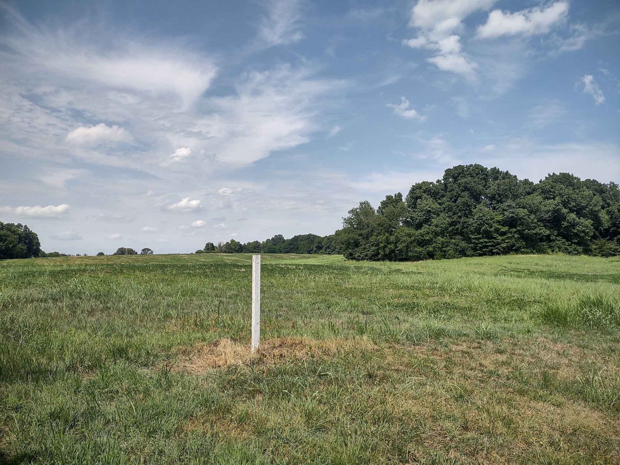 4030 Fizer Road Springfield, TN 37172 - Photo 1 of 4