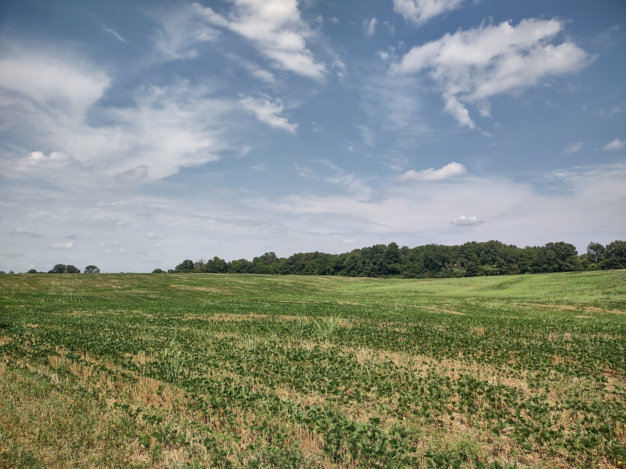 4030 Fizer Road Springfield, TN 37172 - Photo 2 of 4
