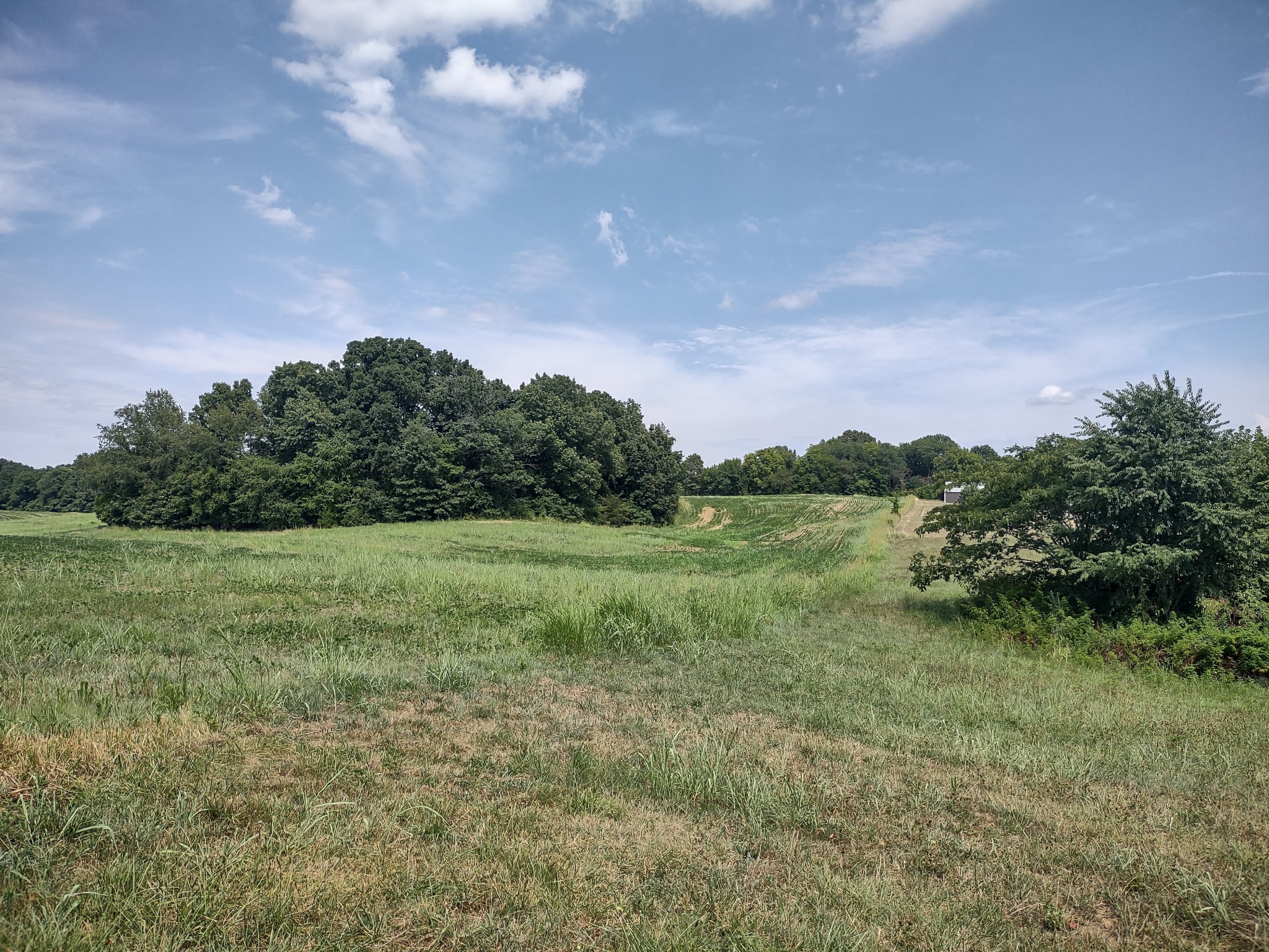 4030 Fizer Road Springfield, TN 37172 - Photo 4 of 4