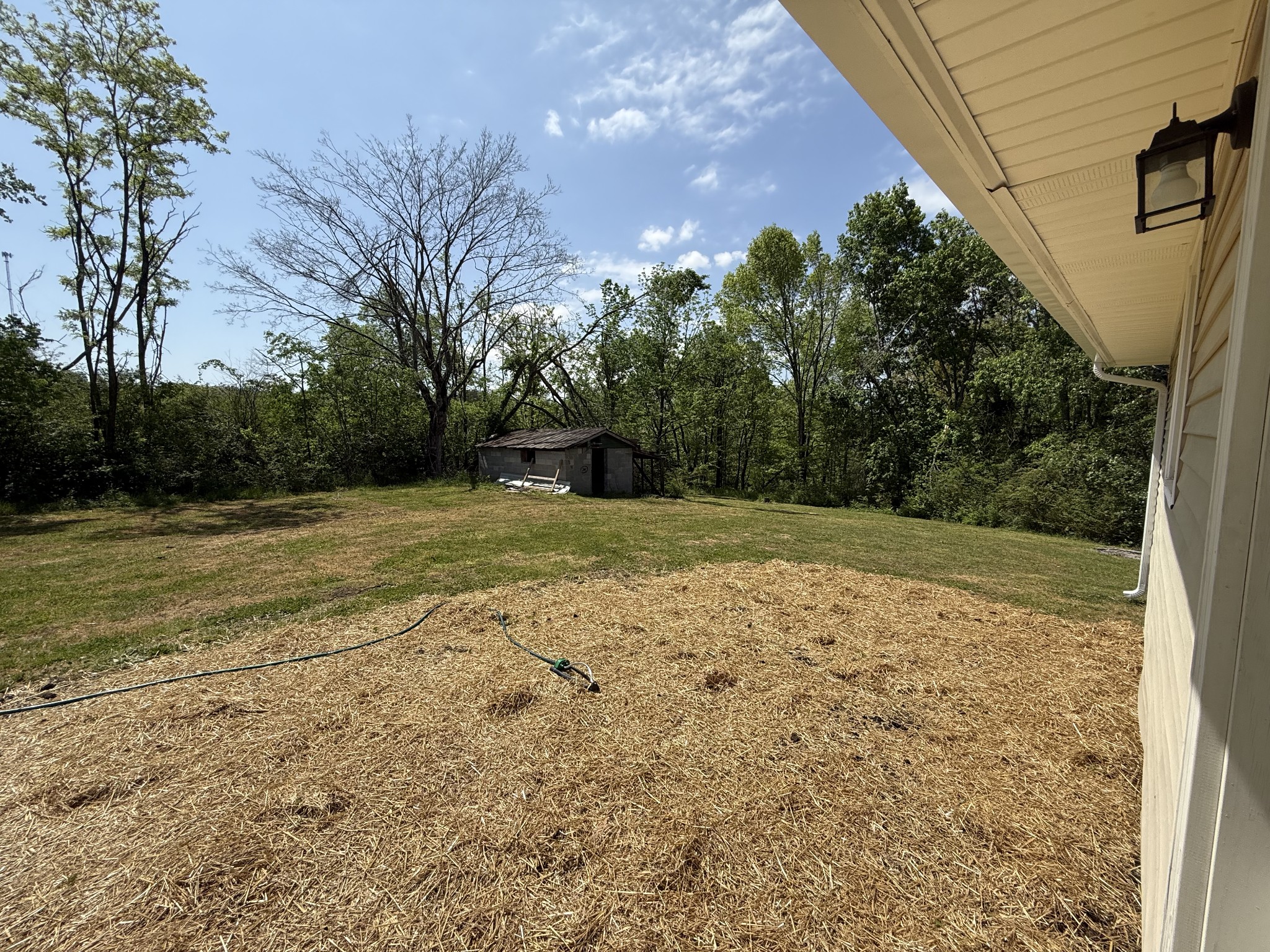 23 Roney Avenue Hohenwald, TN 38462 - Photo 35 of 38