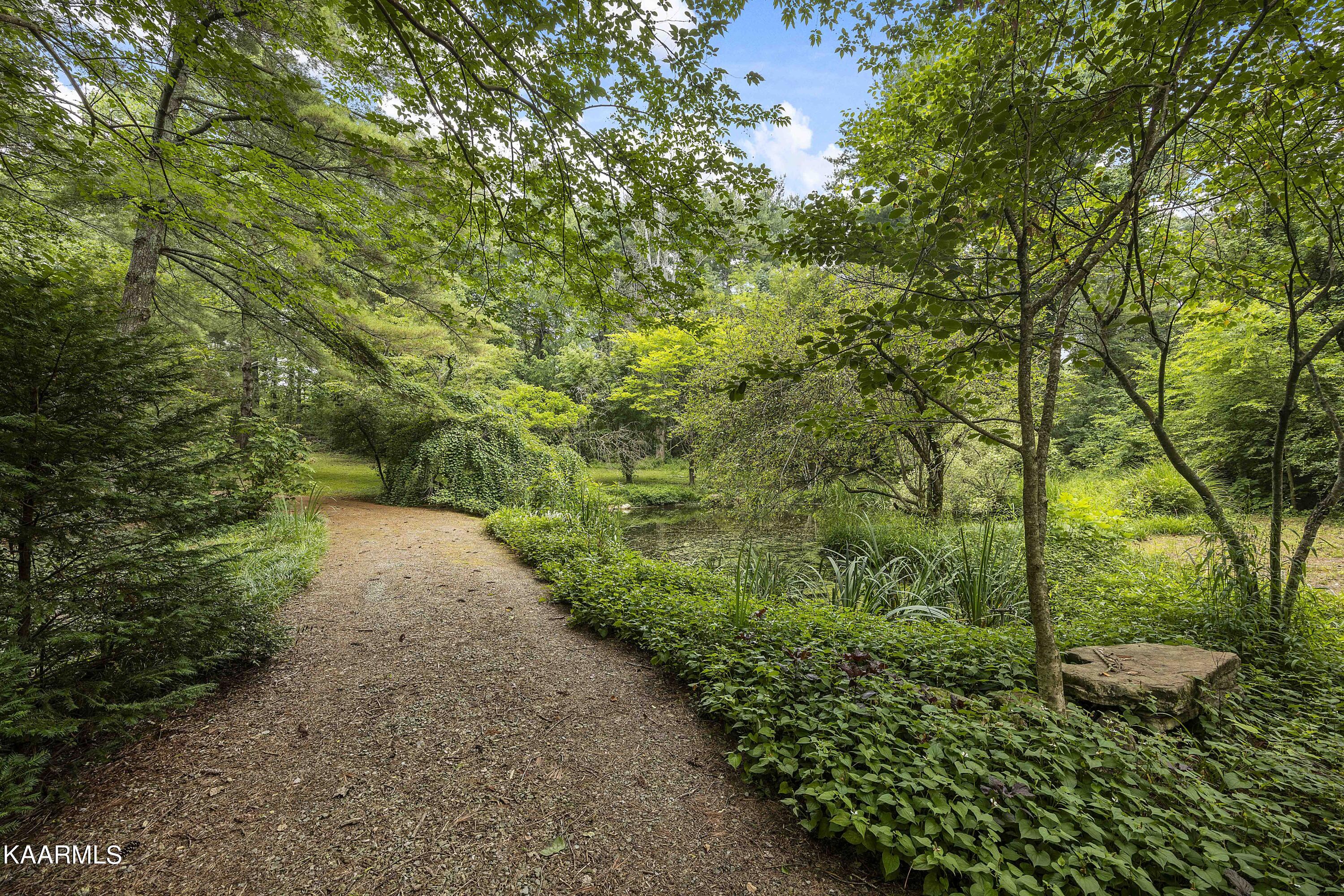 10428 Coward Mill Road Knoxville, TN 37931 - Photo 16 of 51 A17_JY4A5432