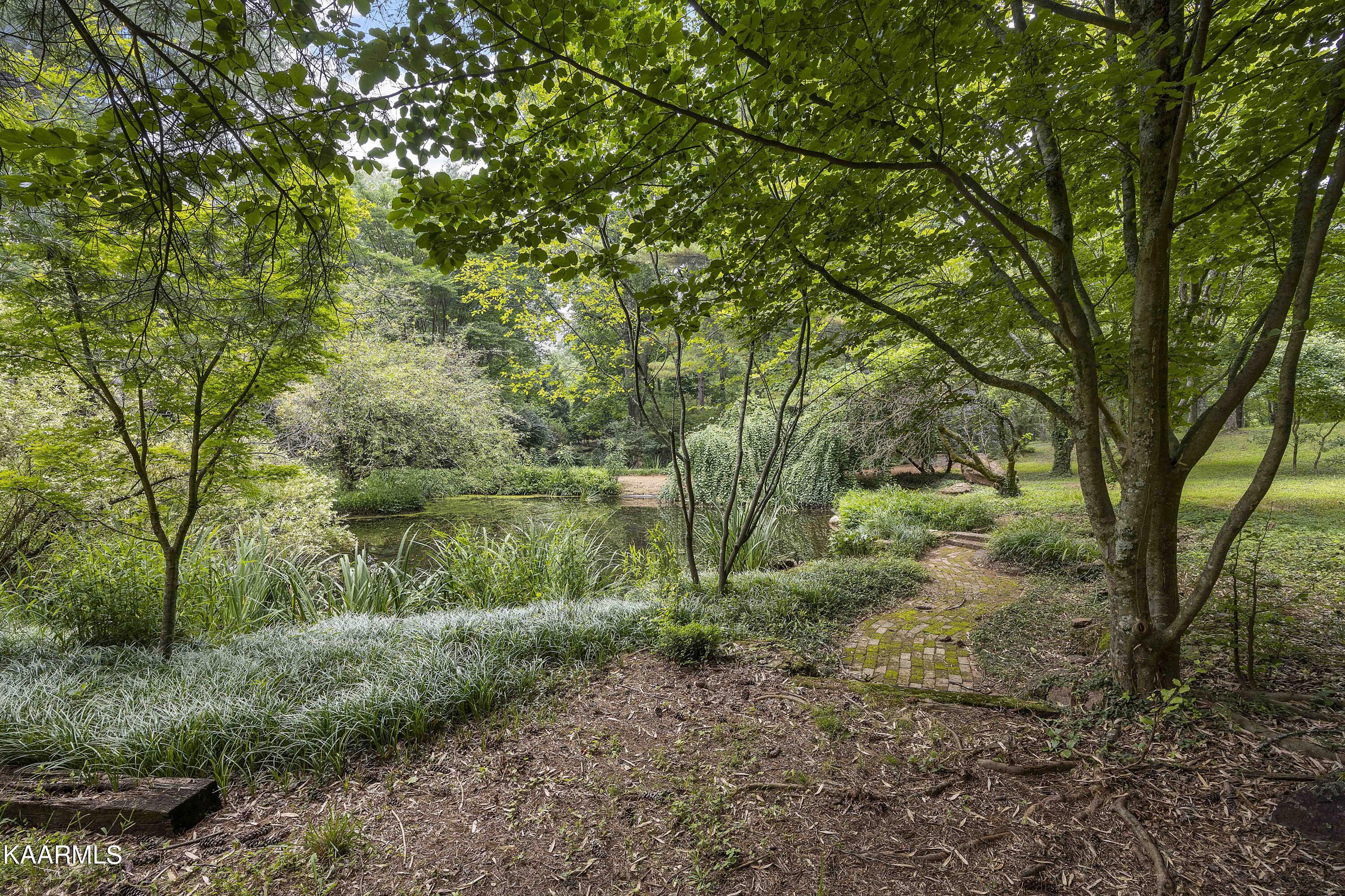 10428 Coward Mill Road Knoxville, TN 37931 - Photo 17 of 51 A18_JY4A5441