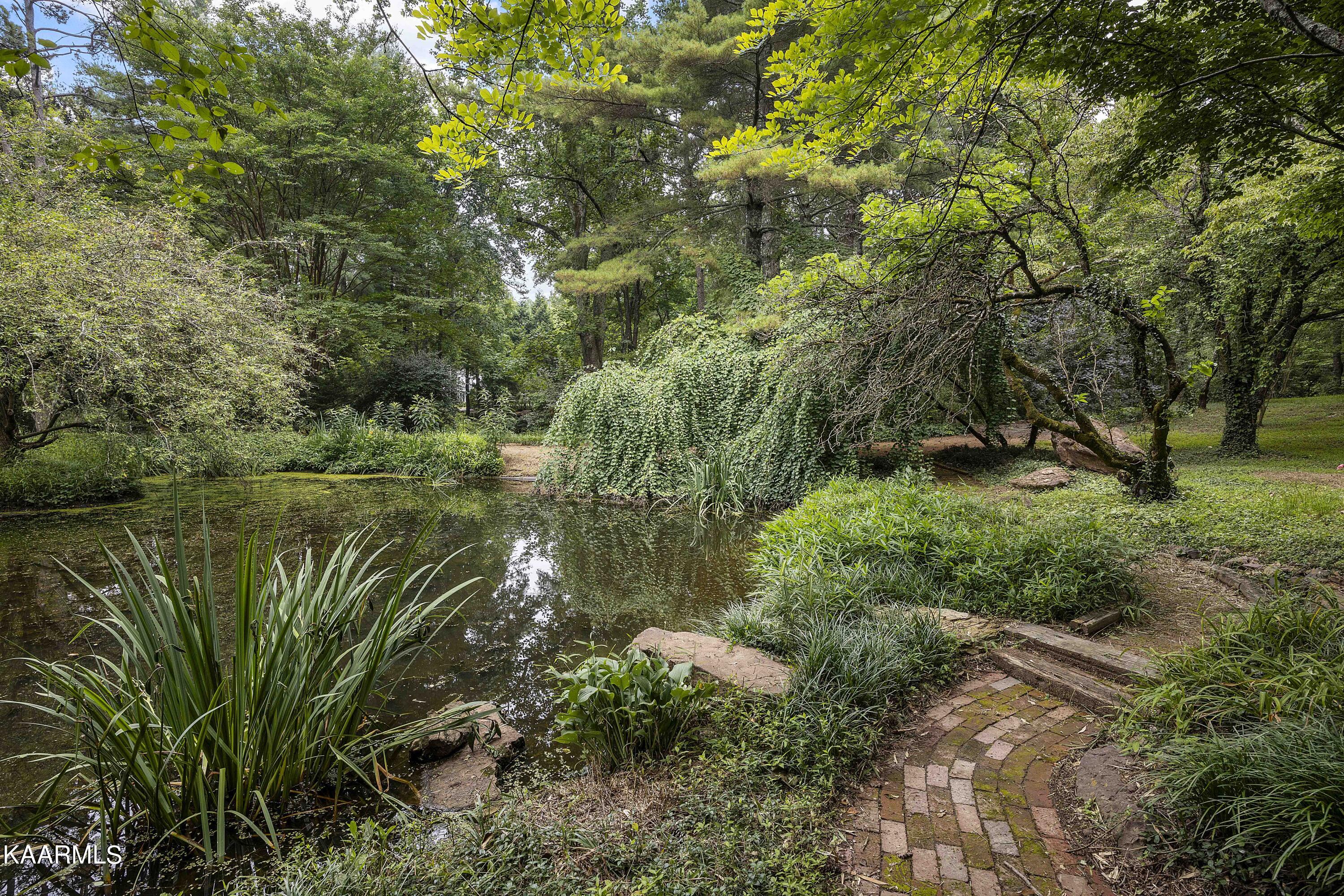 10428 Coward Mill Road Knoxville, TN 37931 - Photo 18 of 51 A19_JY4A5444