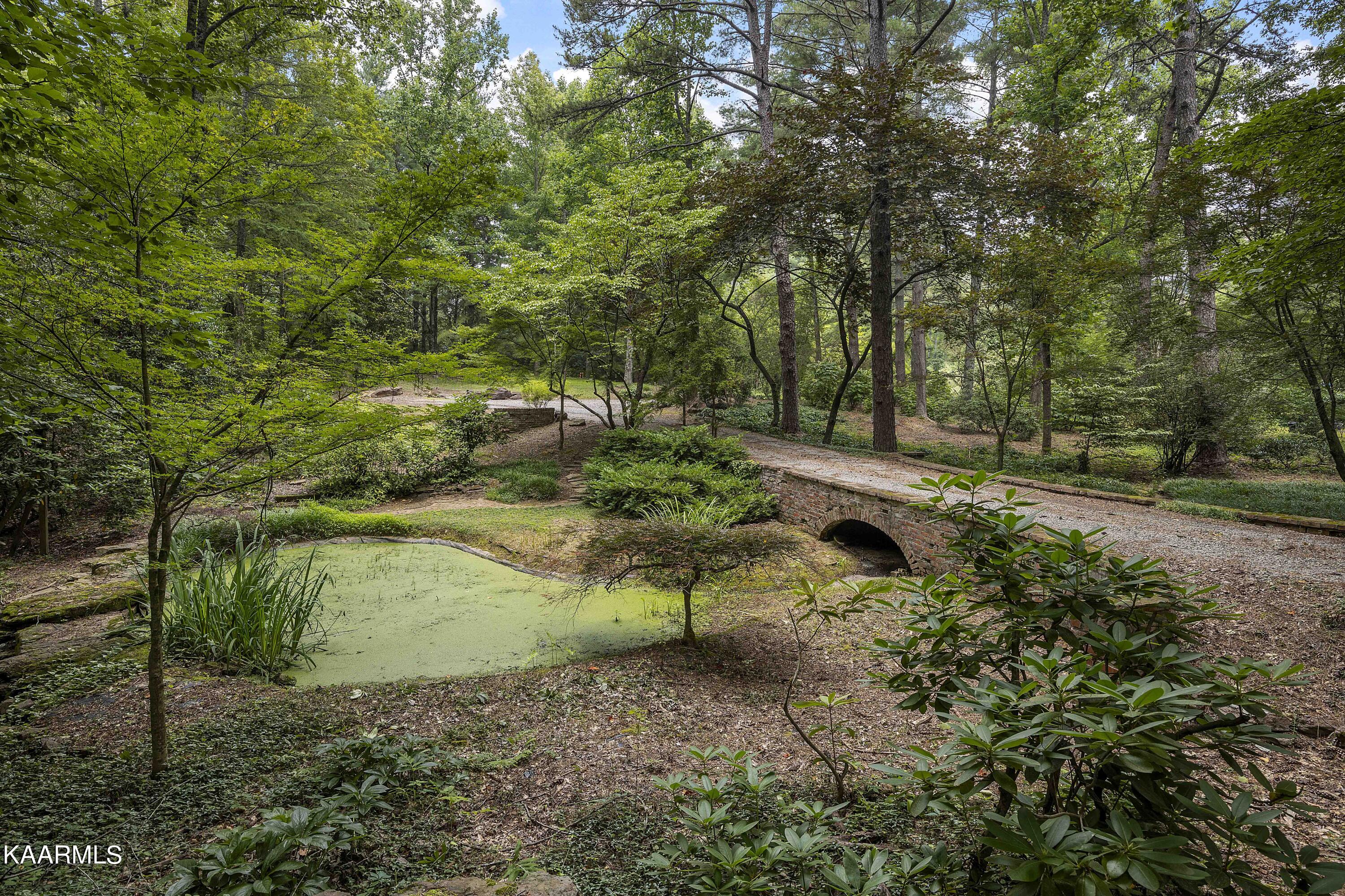 10428 Coward Mill Road Knoxville, TN 37931 - Photo 4 of 51 A4_JY4A5411